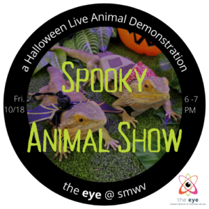 Spooky Animal Show