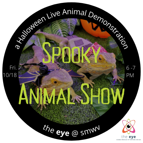 Spooky Animal Show